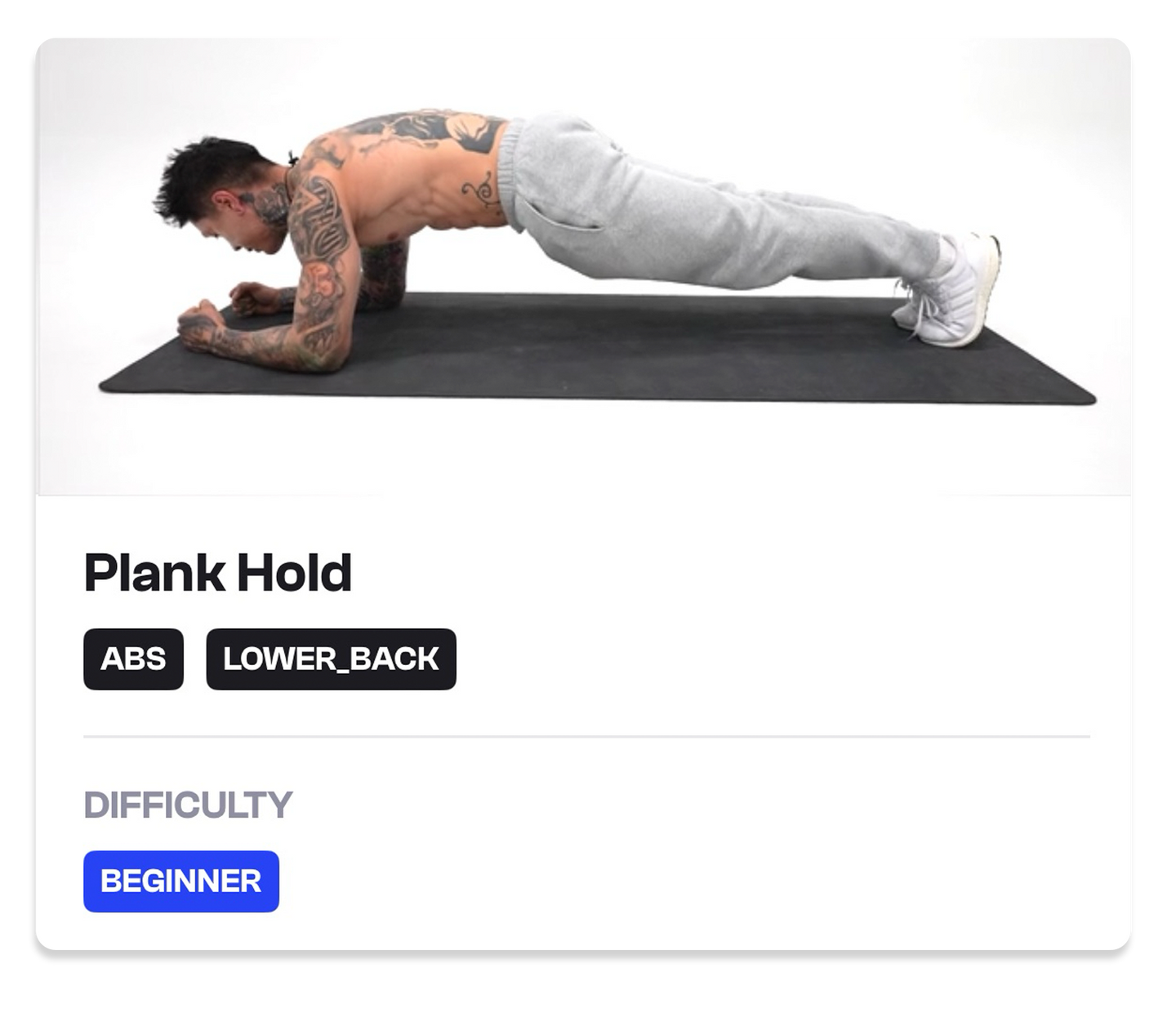 Plank Hold - THENX