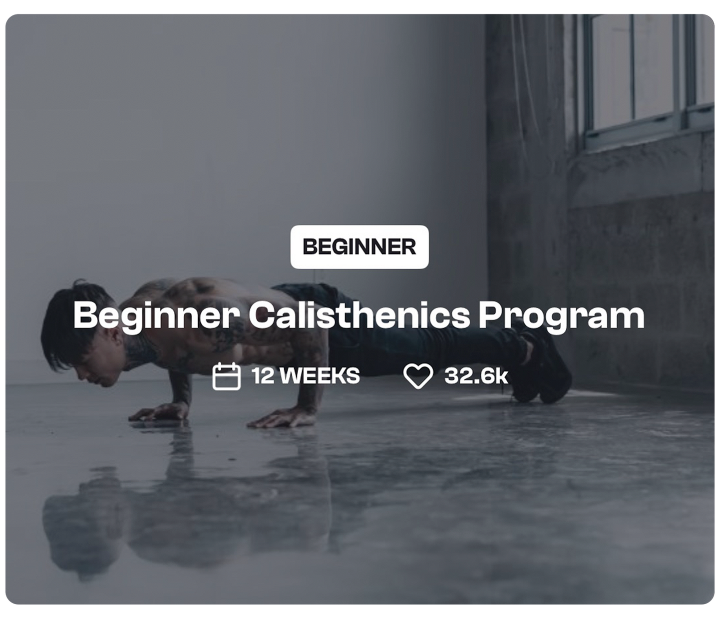 Beginner Calisthenics - THENX
