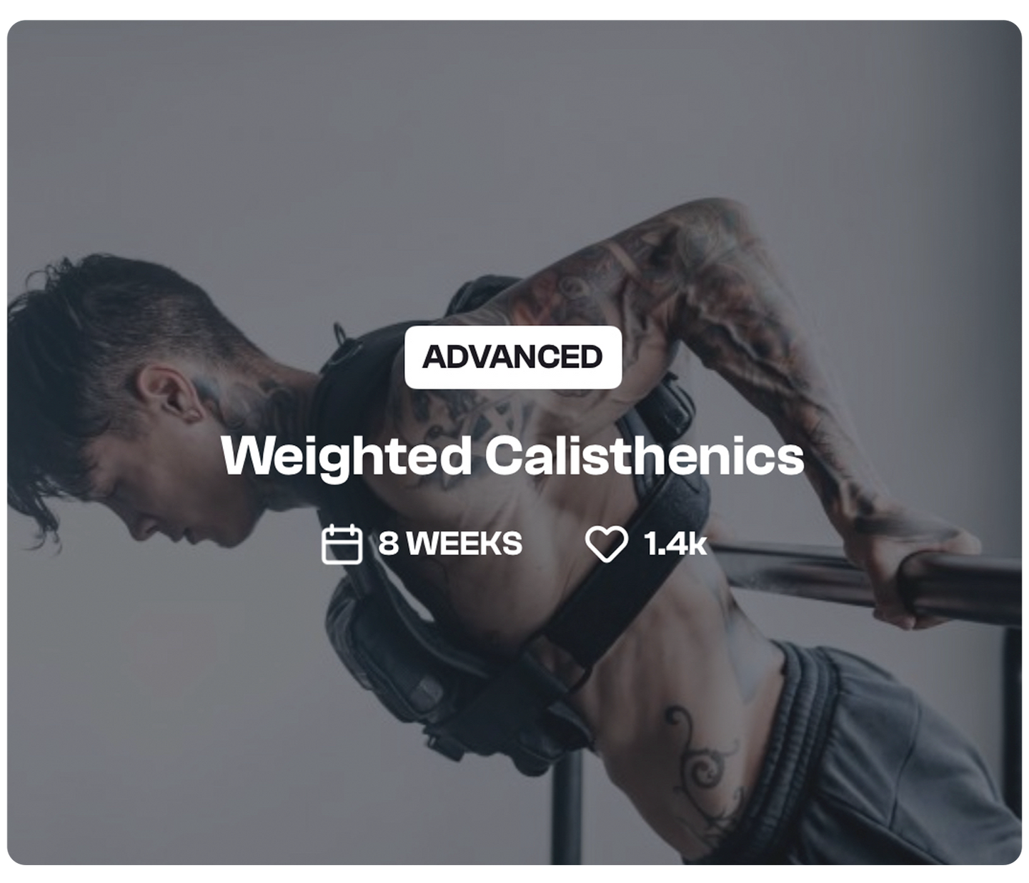 Weighted Calisthenics - THENX