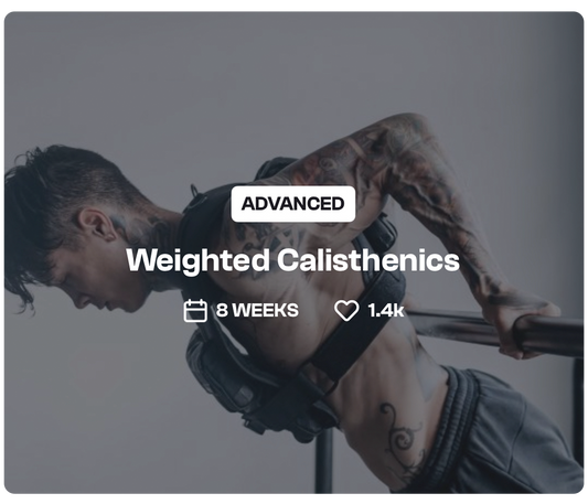 Weighted Calisthenics - THENX