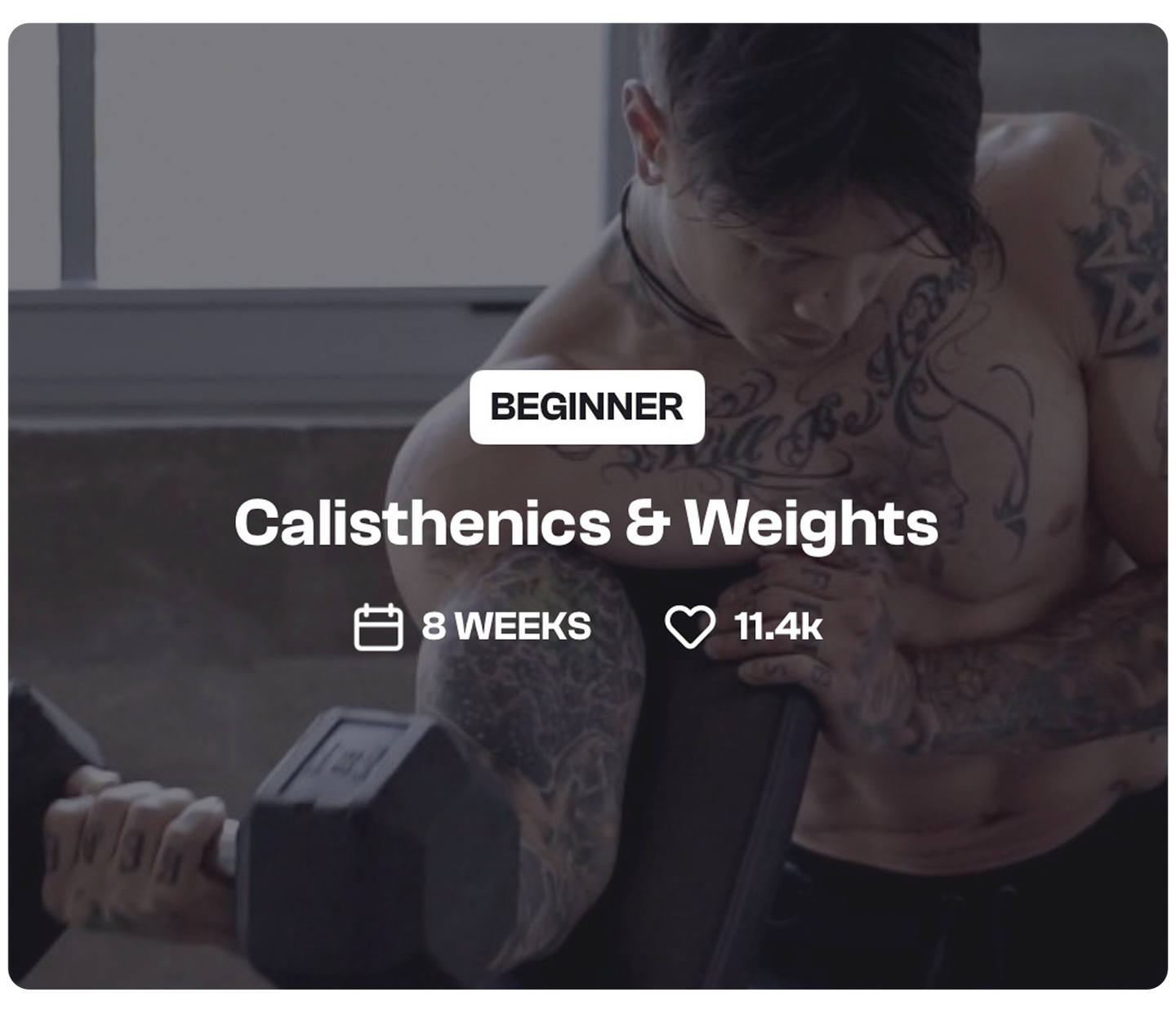 Calisthenics & Weights - THENX