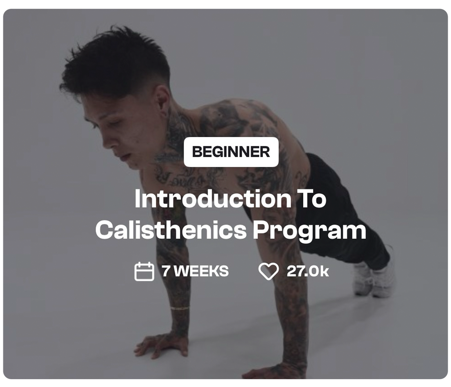 Introduction To Calisthenics - THENX